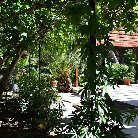 Bed & Breakfast Porticciolo 3*